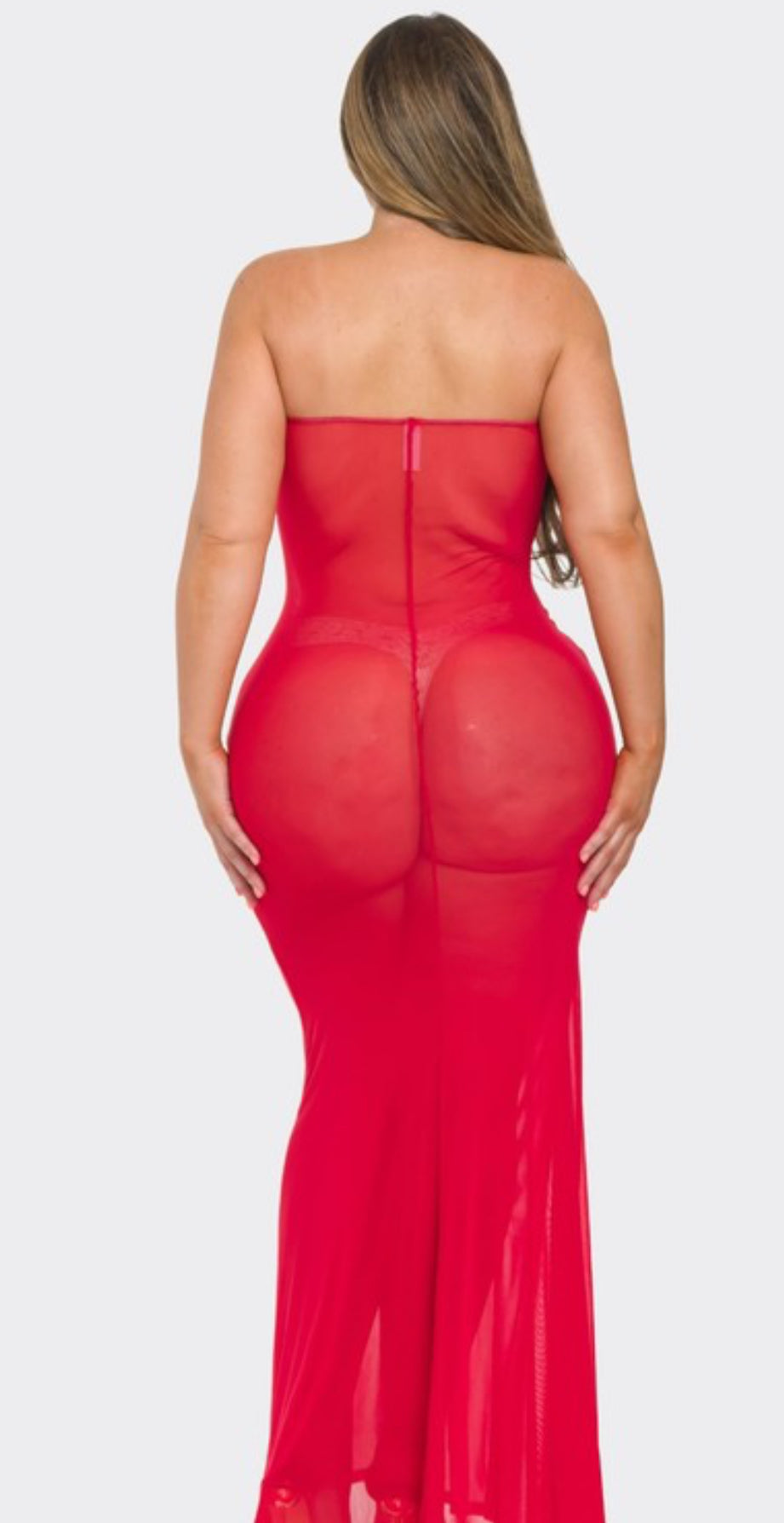 “Desires” Mesh Dress