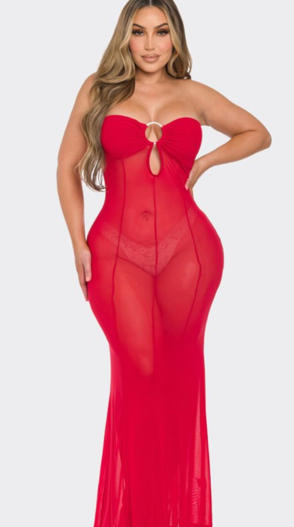 “Desires” Mesh Dress