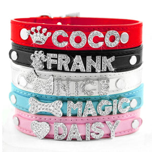“ICEY” Custom name collar