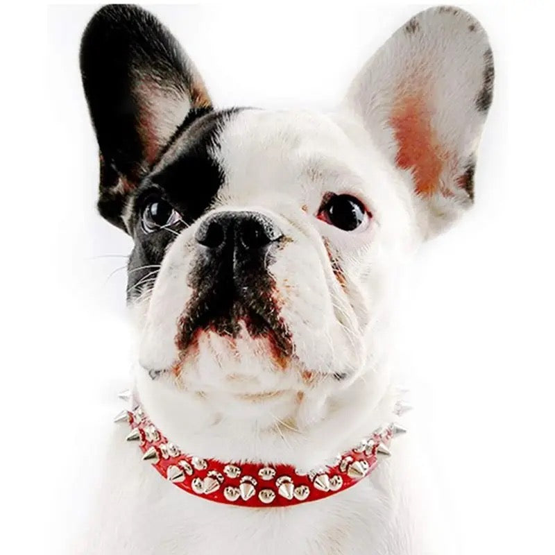 “Spiked” Collar
