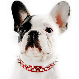 “Spiked” Collar